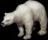 polarbear