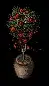 pollinatingtree