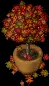 pottedautumntree