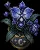 pottednightbloomorchid