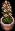 pottedspringflower