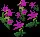 PowderBubblegumEasterbells