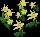 PowderLemonEasterbells