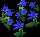 PowderOrchidEasterbells