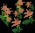 PowderPeachEasterbells