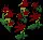 PowderRubyEasterbells