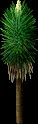 QuillTree
