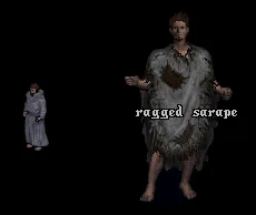 raggedsarape