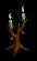 rawwoodcandle