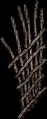 rawwoodtrellis