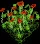 RedPoppies
