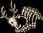 reindeerbones