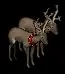 reindeerpair