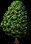 rewardminiatureashtree