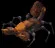 scorpion1
