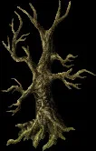 Scourgewood2