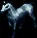 seafarerleaguehorsemounttoken
