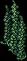 seagrapes11
