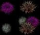 seaurchins