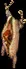 sheepcarcass
