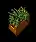 shoeboxofgrass
