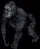 silverback