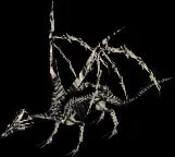 skeletaldragon