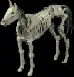 skeletalmount