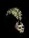skullandfeatherquill