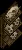 skullcurioshelf