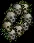 skullwreath