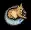 sleepingorangecat