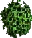 smallchorion