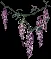 smalllilac