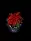 smallpottedpoinsettia