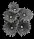 SpikefanCoral