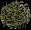 springnest
