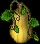 squashlarge