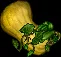 squashmassive