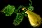 squashsmall