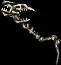 staff dragonbone