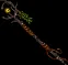 staff shaman