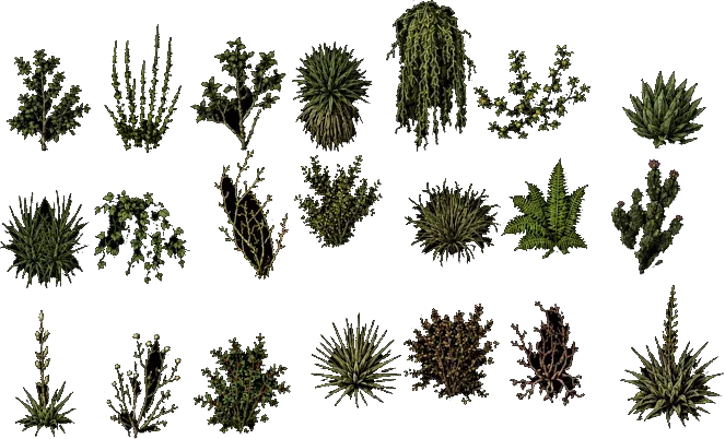 stalaggrotto2026stalagseedplants1