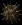 stalagseed2026