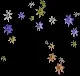 StarfishConstellation