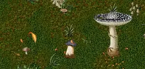 strangelandsmushrooms