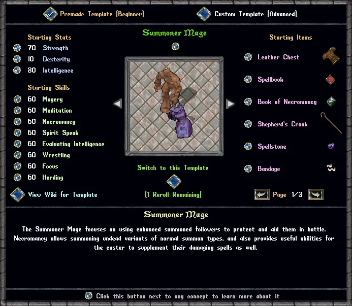 TemplateNPSummonerMage