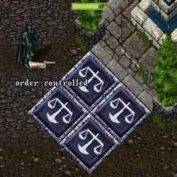 townstrugglezoneflag