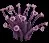 TubeCoral