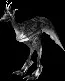 tundraostard